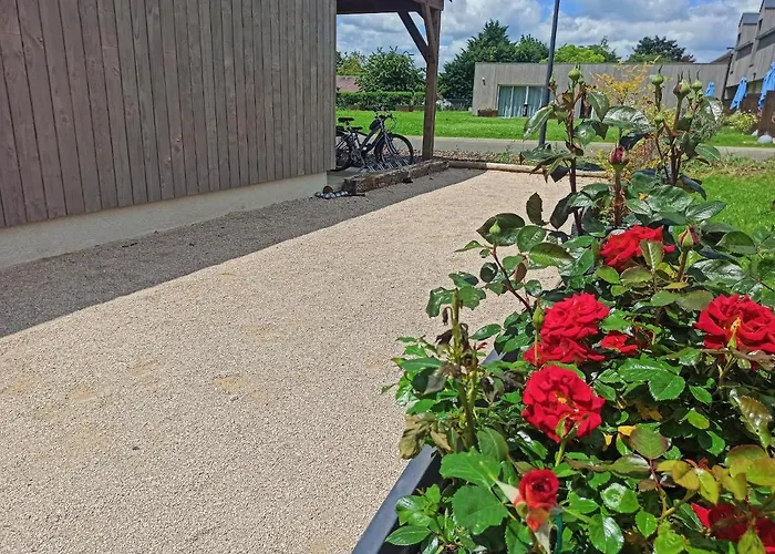 Brame de Sologne